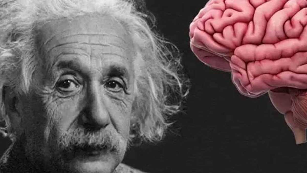 40 yaşından sonra yeni bir zekâ türü ortaya çıkıyor: Harvard Profesörü açıkladı