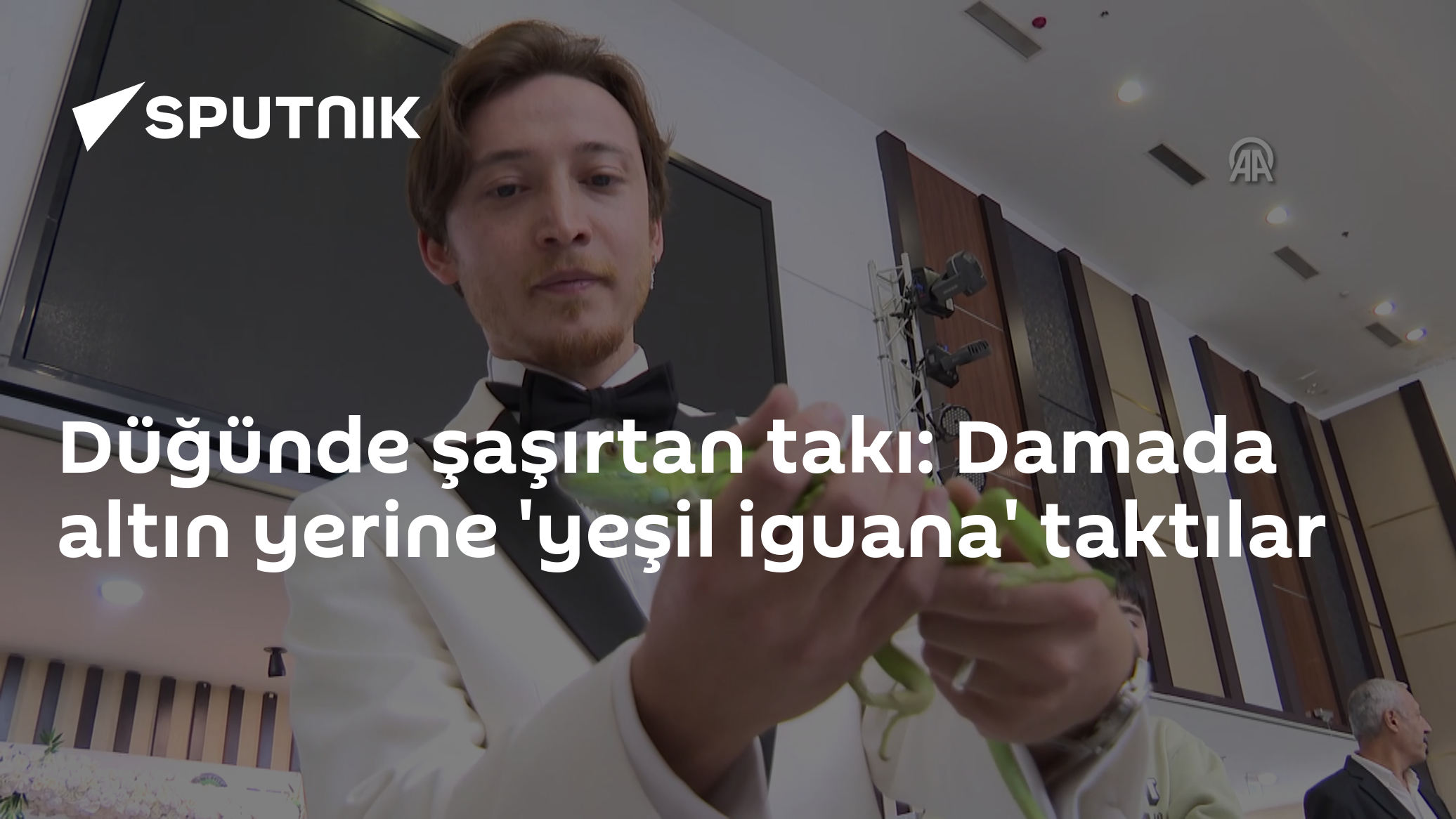 Ankara’da düğün sürprizi: Damat altın yerine boynuna iguana takıldı