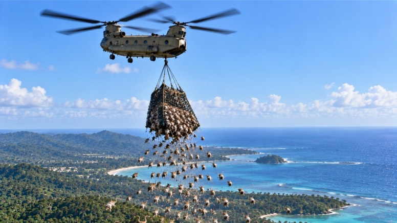 Binlerce ölü fareyi helikopterlerle adaya bıraktılar - Görsel 1