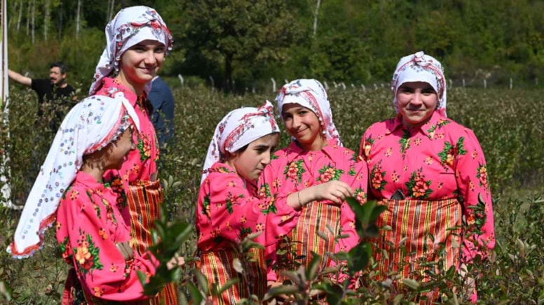 Bir fidan dikip köşeyi döndüler: Yıllardır boş kalan tarlada paraya para demiyorlar - Görsel 1