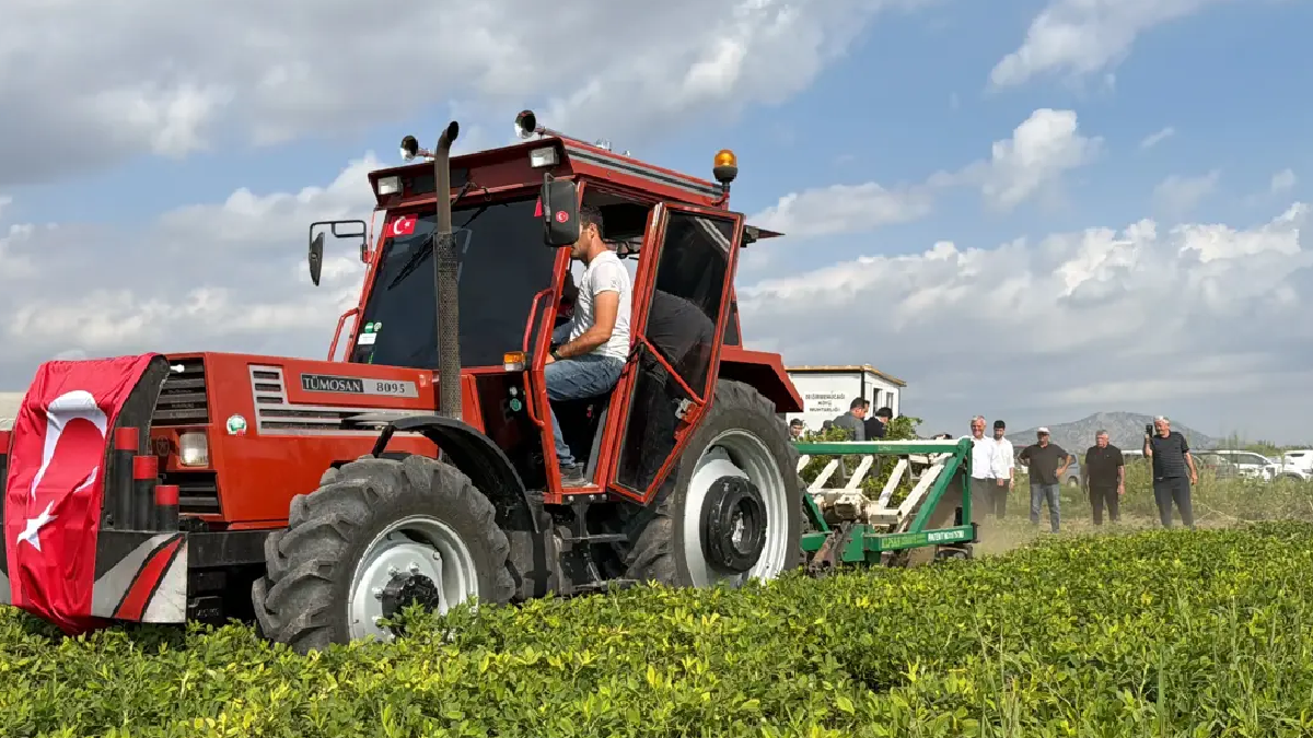 Dev hasat başladı: Tarladan servet çıkıyor, 5 milyar lira kazandıracak