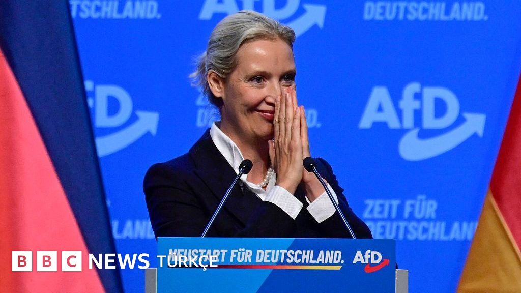 Doğu Almanya'da AfD zaferinin arkasında: Ekonomik yaralar, zayıf sivil toplum ve "ikinci sınıf vatandaş" hissiyatı