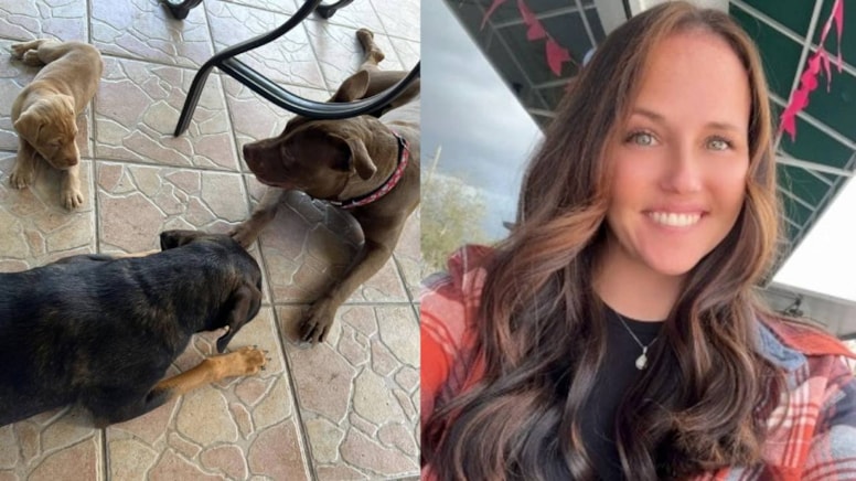 Köpekle ilişkiye giren kadın için yardım kampanyası başlattılar - Görsel 1