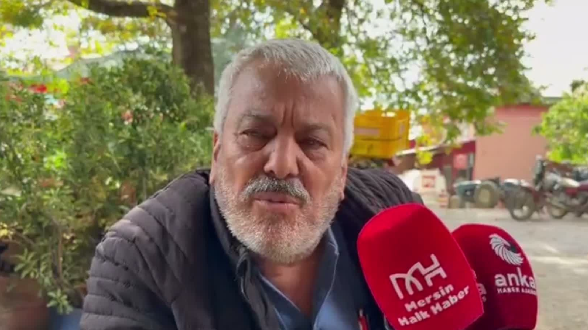 Mersin'de şeftali çürüyor: Maliyet 13 lira, alıcı 5 lira veriyor