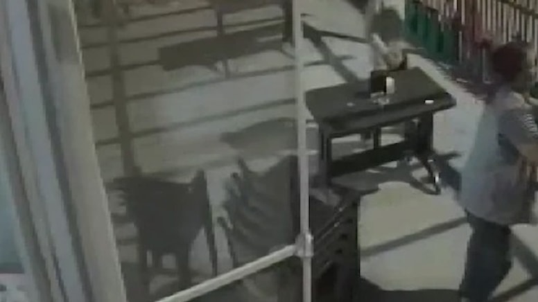 'Terbiyeli olun' uyarısı sonrası dehşeti yaşadılar: Çiftin darbedildiği anlar kamerada - Görsel 1