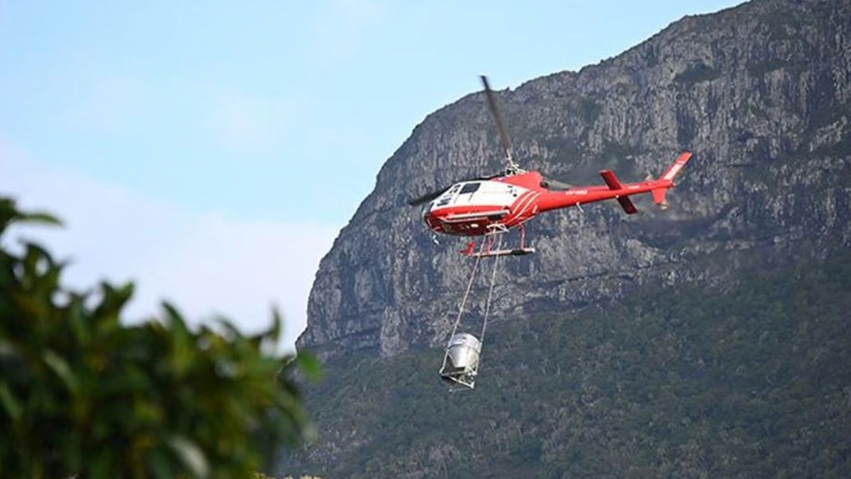 Tonlarcasını helikopterle adaya bıraktılar