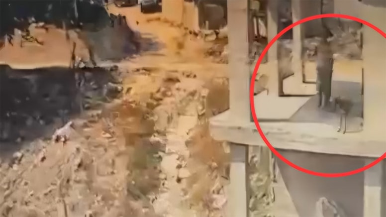 Vicdansızlığın da bu kadarı! İnşaatta uyuyan köpeğe sopayla saldırdı - Görsel 1