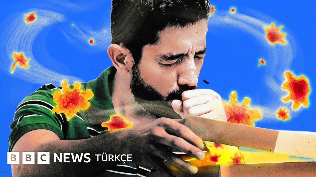 Yetişkinlikte aniden gelen alerji şoku: Virüslerden kene ısırıklarına tetikleyiciler neler?